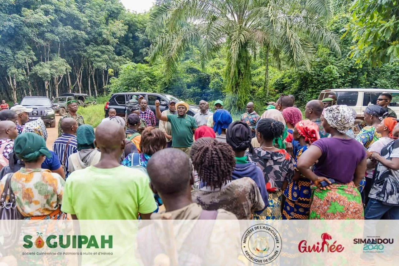 SOGUIPAH : les primes des saigneurs d’hévéa doublées dès le 1er septembre