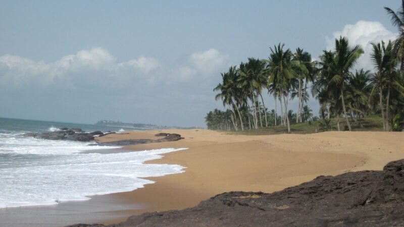 Beach with palms Ghana, Ghana. Image d'archive.