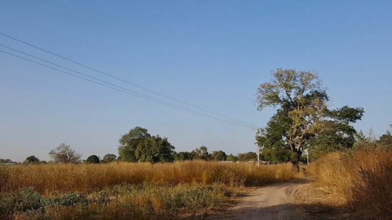 Gambia LowerRiverDivision Countryside January2019, Gambie. Image d'archive.