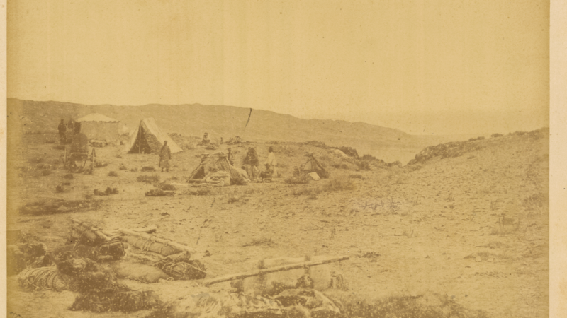 Hara-Mali, on the Way from Gucheng to Zaysan, Kazakhstan, 1875 WDL2060, Mali. Image d'archive.