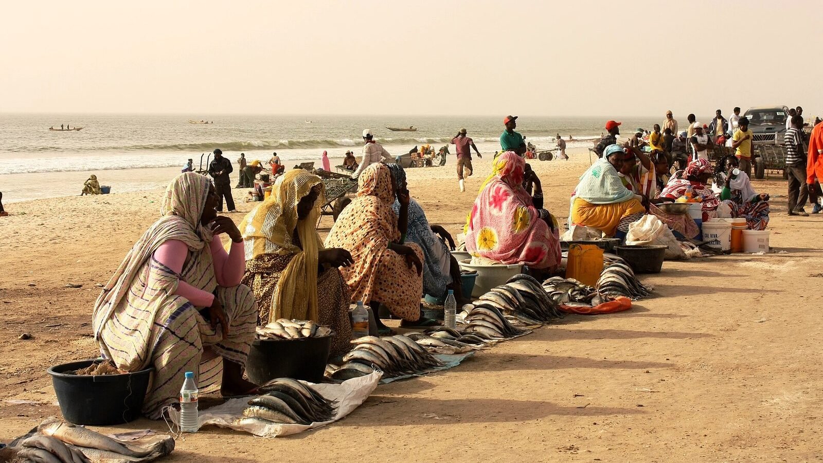 Fish market in Nouakchott - Mauritania, Mauritanie. Image d'archive.
