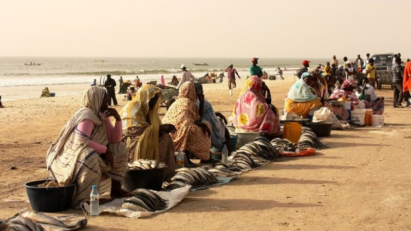 Fish market in Nouakchott - Mauritania, Mauritanie. Image d'archive.