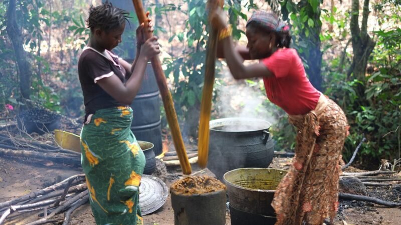 Palm oil, Guinea Photo 9, Guinée. Image d'archive.