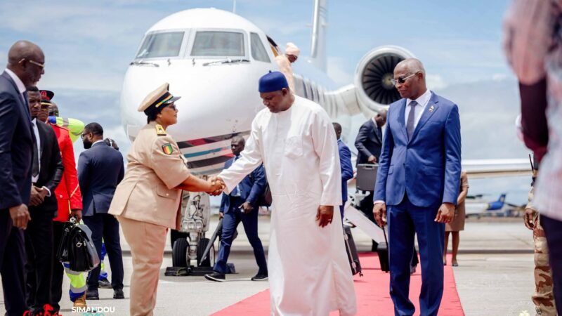 Coopération bilatérale : le président gambien Adama Barrow en visite officielle à Conakry