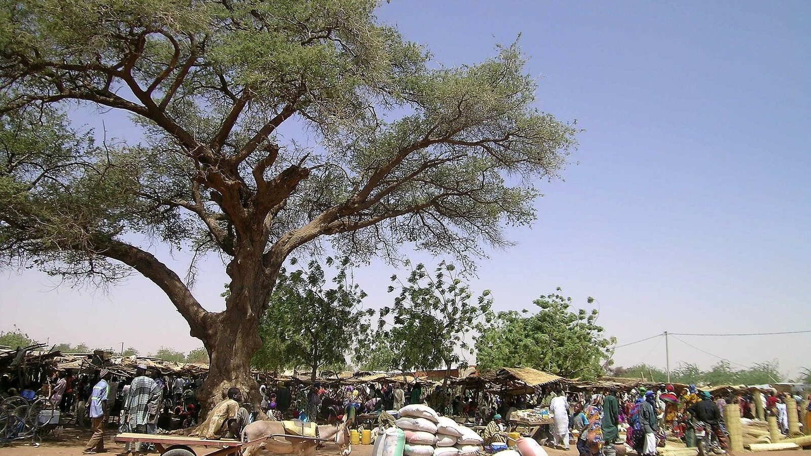 Marche de Gorom Gorom001, Burkina Faso. Image d'archive.
