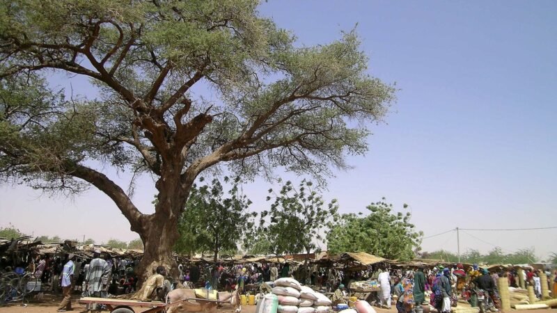 Marche de Gorom Gorom001, Burkina Faso. Image d'archive.