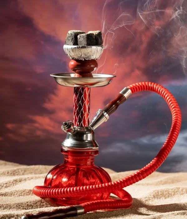 Commercialisation de chicha : un débat juridique s’ouvre au tribunal de Dixinn