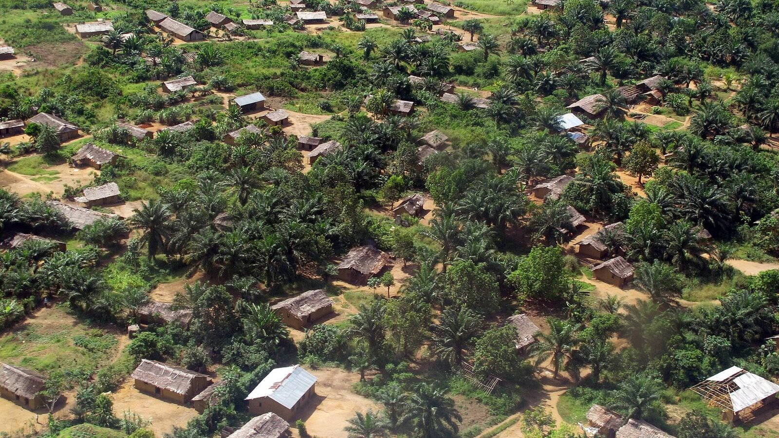 Une vue aérienne partielle du territoire de Boende dans la province de l’Equateur, en RD Congo (15311732917), RD Congo. Image d'archive.