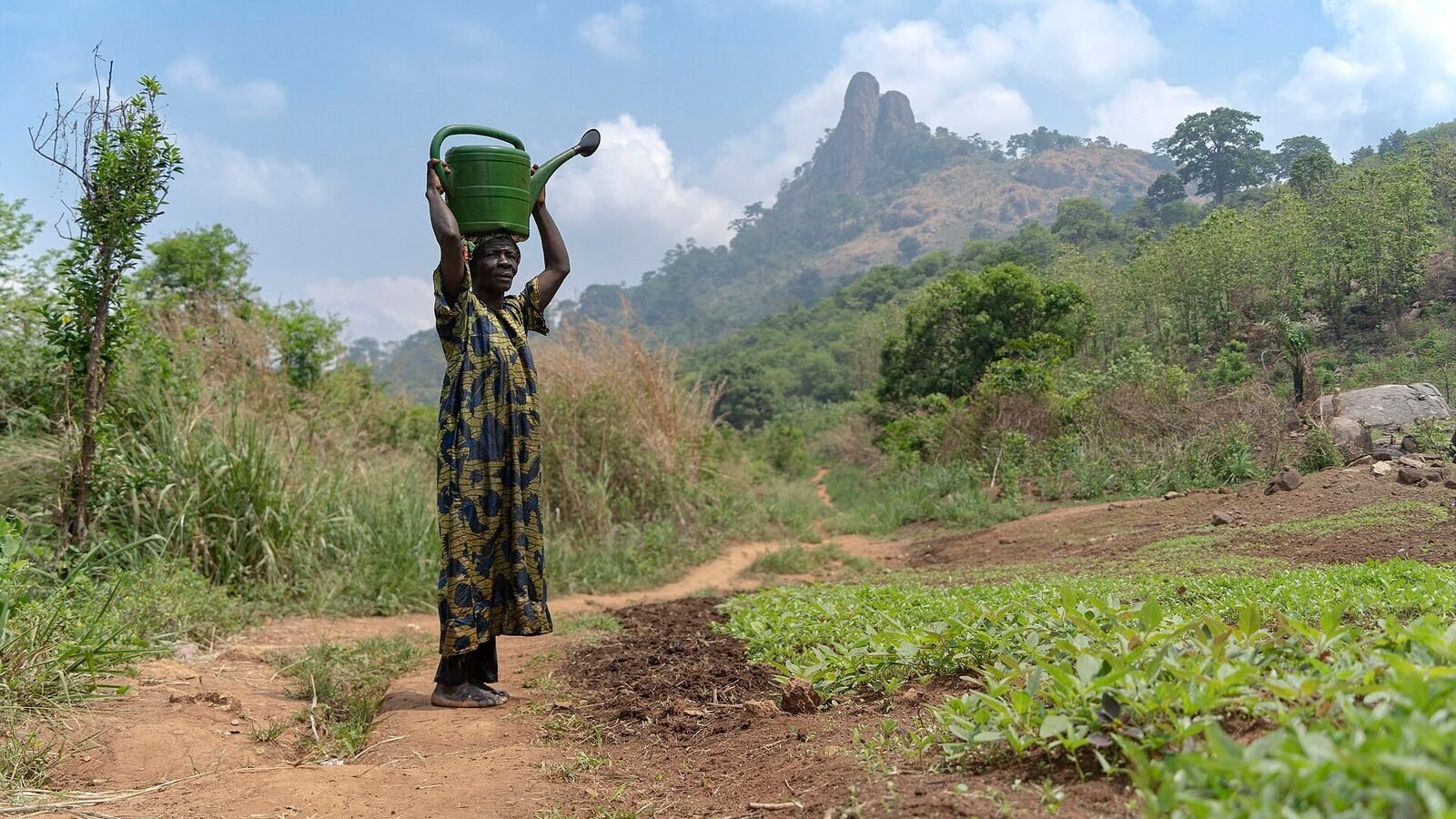 Woman with watering can, Dent de Man, Côte d'Ivoire. Image d'archive.