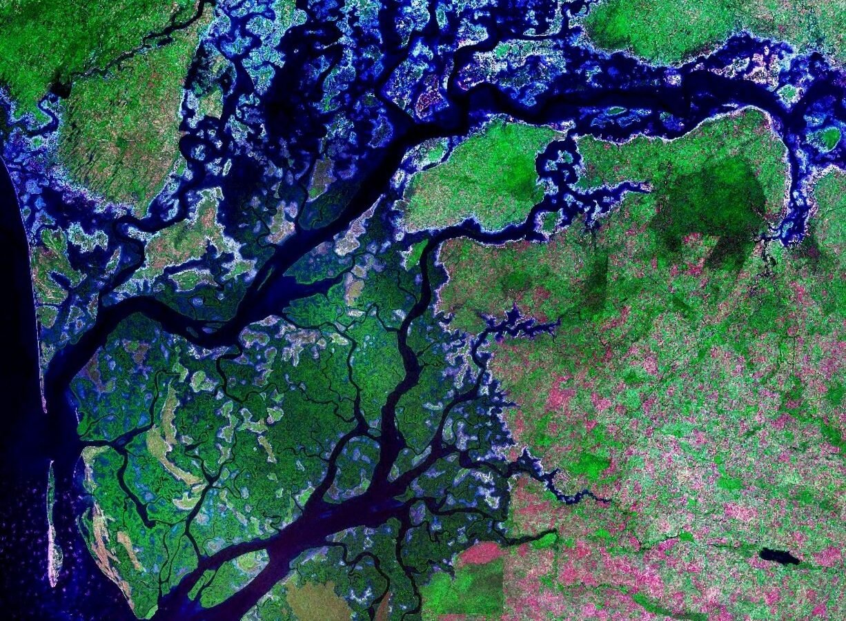 Saloum Islands, Sénégal. Image d'archive.