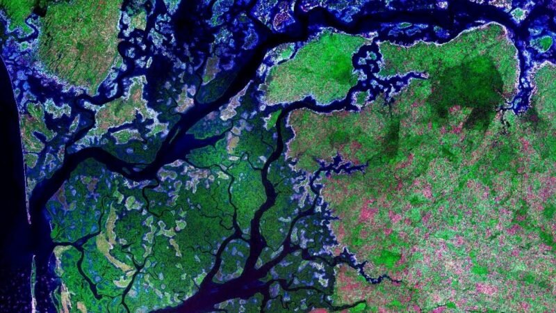 Saloum Islands, Sénégal. Image d'archive.