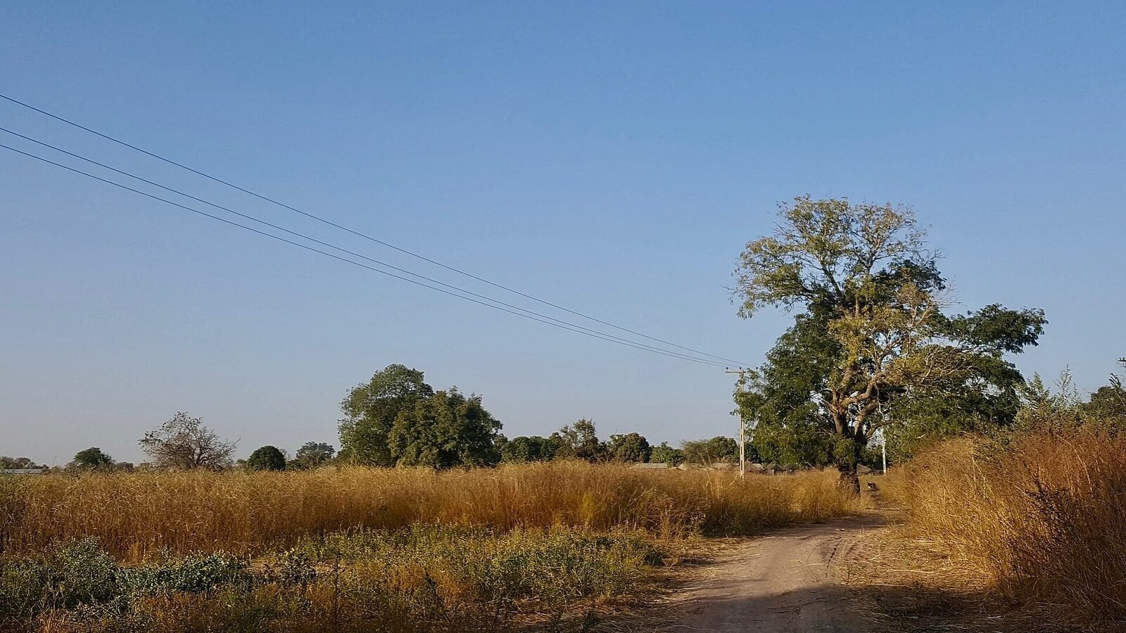 Gambia LowerRiverDivision Countryside January2019, Gambie. Image d'archive.