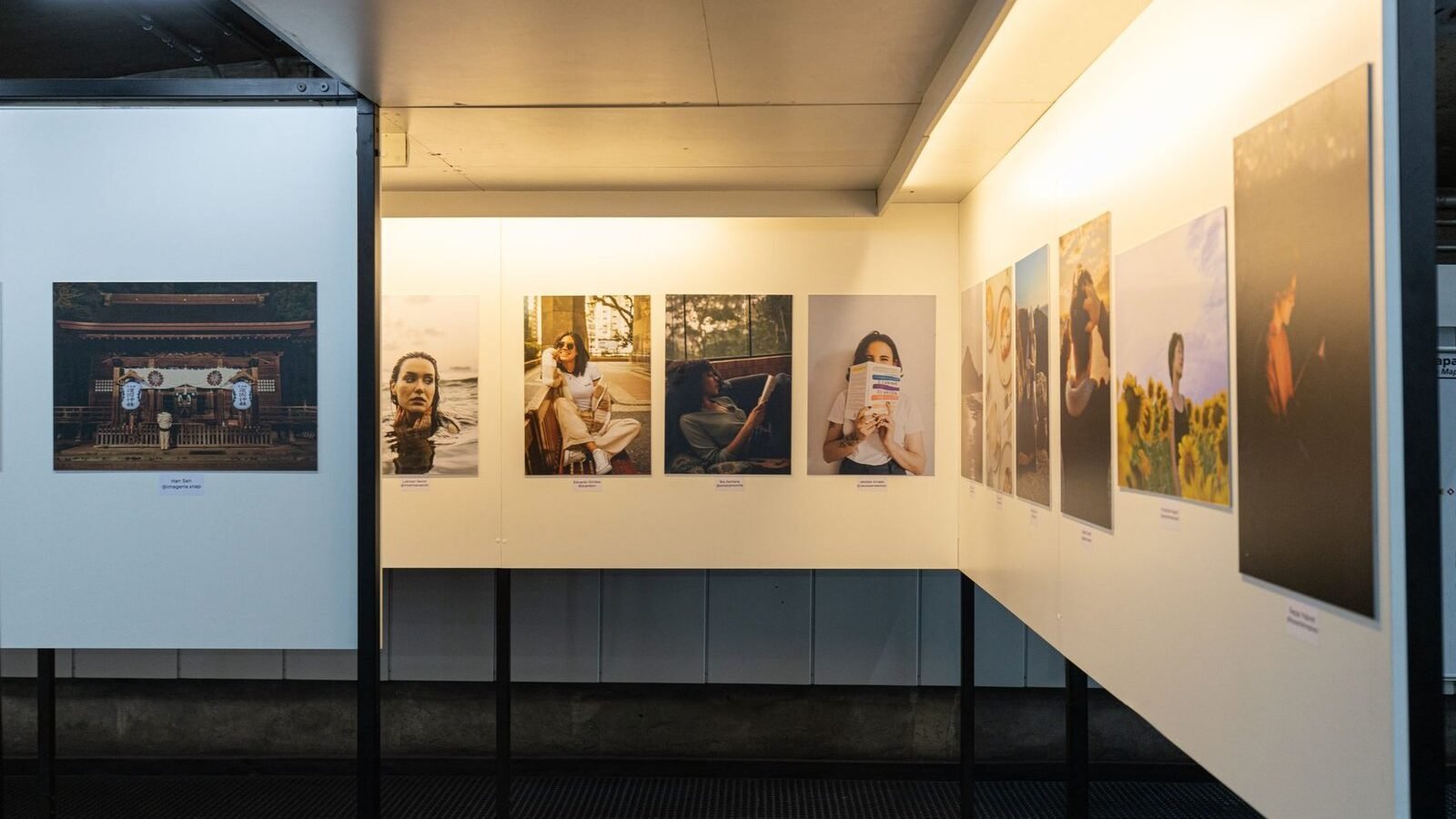 Illustration : Visa pour l'image.