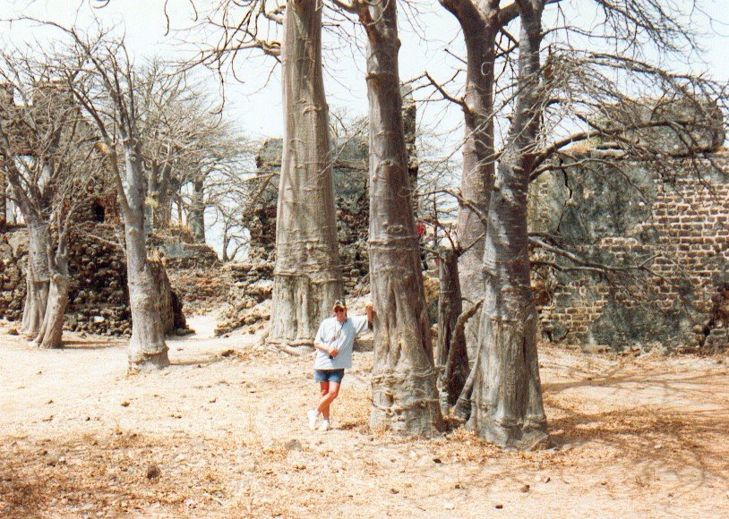 James Island, Gambia (4129326118), Gambie. Image d'archive.